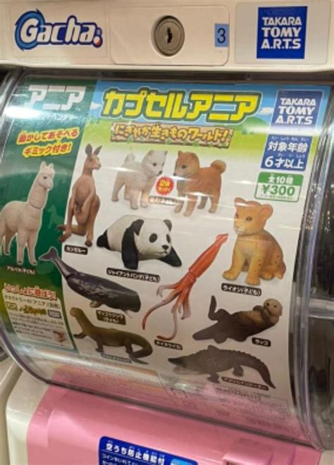 Gashapon Takara tomy animals toys, Hobbies & Toys, Toys & Games on ...
