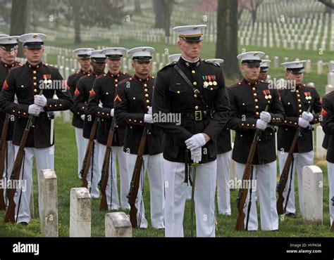 Arlington Virginia Usa Th Apr Marine Corps Honor Guard Stock