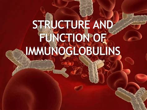 Structure and function of immunoglobulins | PPT