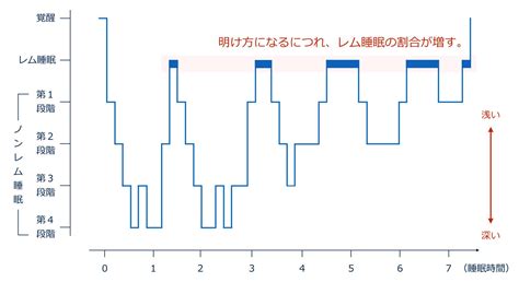 【睡眠の偉大な効果】実験データで分かる眠りの大切さ 快眠タイムズ公式ブログ