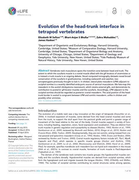 Pdf Evolution Of The Head Trunk Interface In Tetrapod Vertebrates