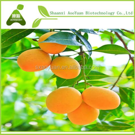 mango extract mangiferin, natural irvingia gabonensis seed extract ...