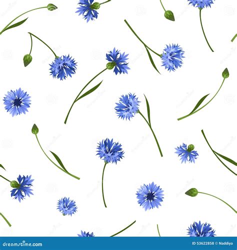 Seamless Pattern With Blue Cornflowers Vector Illustration Stock