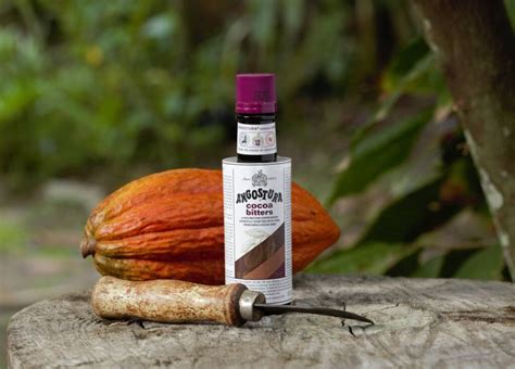 Angostura Launches Sustainable Future Cocoa Project Trinidad And