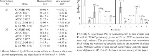 Hydrophobicity And Zeta Potential Of Nonpathogenic E Coli Strains And