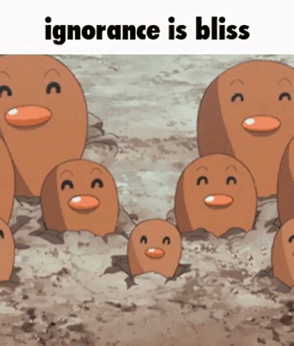 Digle Pokemon Digle Pokemon Ignorance Is Bliss Discover Share