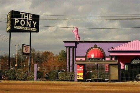 Pony Memphis Strip Clubs And Adult Entertainment