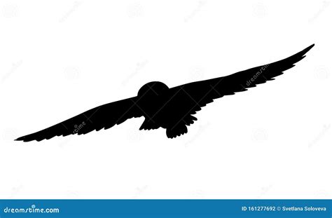 Vector Black Flying Owl Silhouette Stock Photography | CartoonDealer.com #161277692