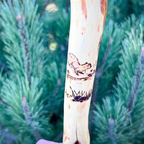 Walking Stick With Grip Etsy