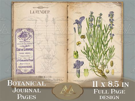 Herbs Journal Pages Printable Botanical Junk Journal Kit Etsy