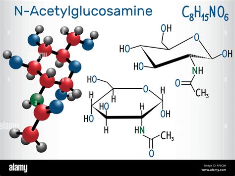 N Acetylglucosamin NAG Molekül ist monomeren Einheit Der chitin