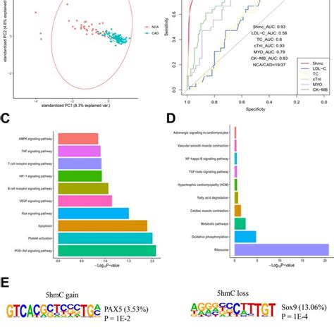 Genome Wide Distribution Of 5hmC In Plasma Samples Of SCAD AMI