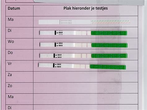 Ovulatietest Kalender € 099 Sensitest