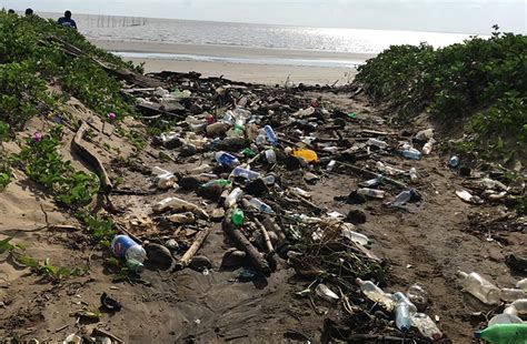 Stop The Pollution Be The Solution Guyana Chronicle