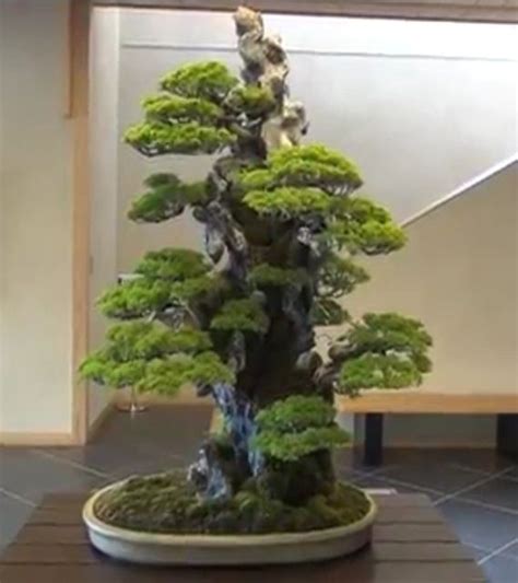 Tree Designed Be Masahiko Kimura Exhibited At The Omiya Bonsai Museum