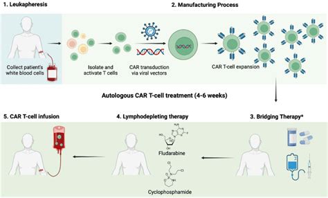 Autologous Car T Cell Process Download Scientific Diagram