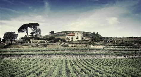 Regala El D A Del Padre Una Visita A Bodegas Marqu S De Vizhoja