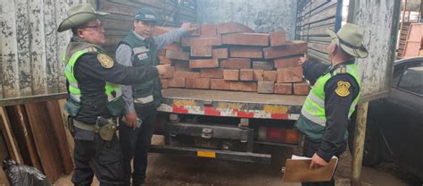 SERFOR DECOMISA MADERA DE CEDRO VALORIZADA EN MÁS DE 19 MIL SOLES