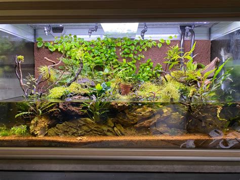 Aquaterrarium Le Guide Supr Me Univers Terrarium