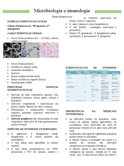 Streptococcus Principais Espécies De Interesse Veterinário Pdf