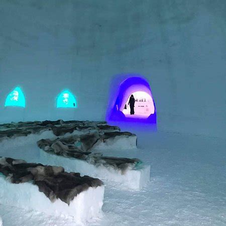 Tromso Ice Domes - 2019 All You Need to Know BEFORE You Go (with Photos ...