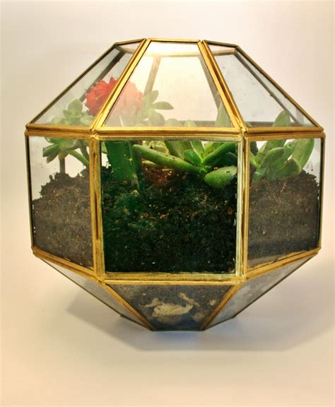 Pendant Light Turned Terrarium - Rhapsody in Rooms