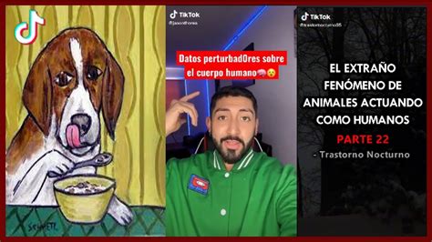 Historias Perturbadoras Y Datos Perturbadores De TikTok TikToks De