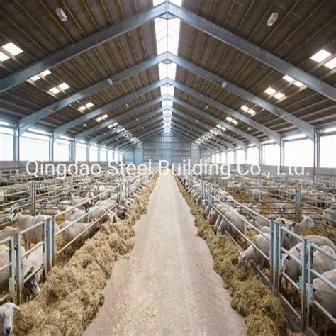 Open Chicken House Prefabricated Steel Structure Poultry Farm House