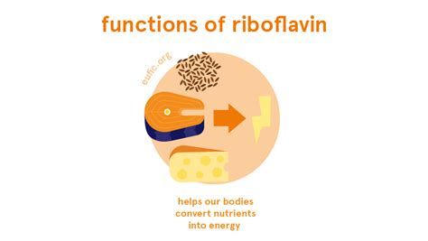 Riboflavin Vitamin B2 Foods Functions How Much Do You Need And More