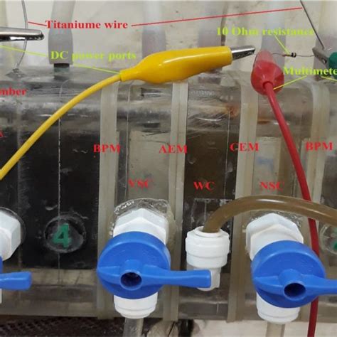 The Image Of The Dual Anion Exchange Membrane Bioelectrochemical System