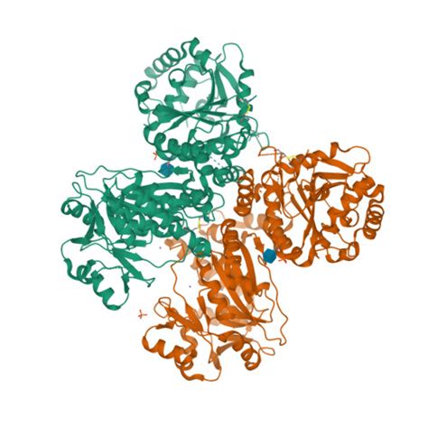 Rcsb Pdb Zvj Homodimeric Structure Of Large