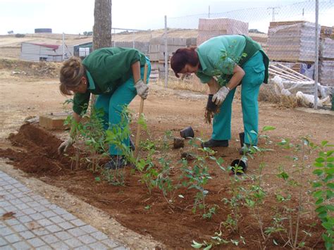 Taller De Empleo Hornachuelos Trabajos De Jardiner A En Palomas Y