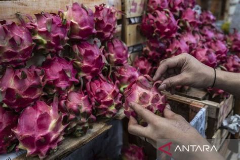 Stok Buah Di Pasar Induk Kramat Jati Melimpah Antara News