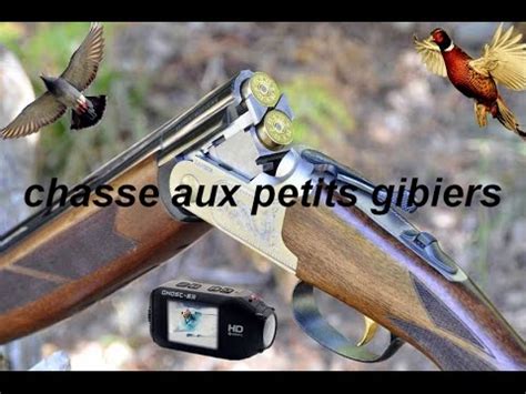 Chasse Aux Faisans Et Pigeons Youtube