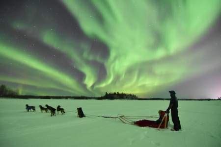 Fairbanks Dog Sledding Tours | Mush Dogs Like An… | ALASKA.ORG