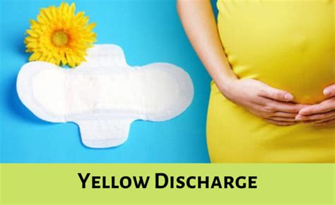 4 Solid Causes and Home Tips of Yellow Discharge Pregnancy