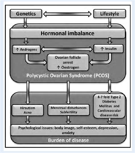 Figure 1 From Women With Polycystic Ovary Syndrome Have Intrinsic Insulin Resistance On