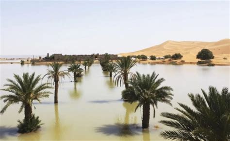 Desierto del Sahara se inunda por primera vez en décadas y surgen