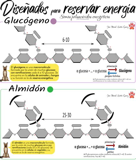 Tema Gl Cidos Biomol Culas Org Nicas