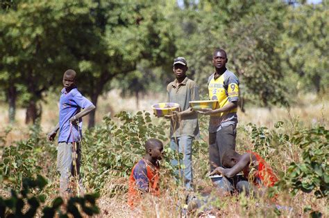 Simbabwe Vier Tote Bei Einsturz Von Goldmine