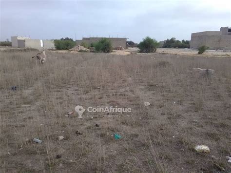 Terrains Terrain 150m2 Lac rose au Sénégal CoinAfrique Sénégal