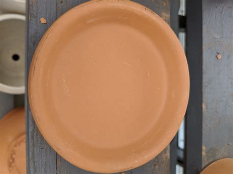 Burley Clay Saucer 4 Inch Wilsons Garden Center