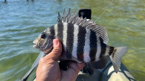 Kayak Fishing Santa Rosa Sound Looking For A Bite Youtube