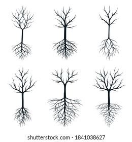 Set Black Trees Roots Vector Illustration Stock Vector Royalty Free