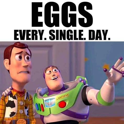 Egg Memes - 25+ Funny Images That Will Crack You Up!