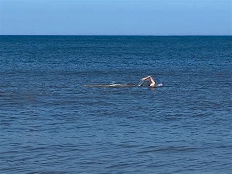 Mariah Burton Nelson: Athlete, Author, Artist