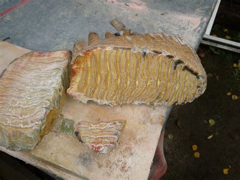 Авторучка и нож из зуба мамонта | Пикабу