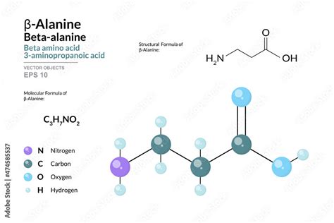 β Alanine or Beta Alanine Beta Amino Acid Structural Chemical Formula