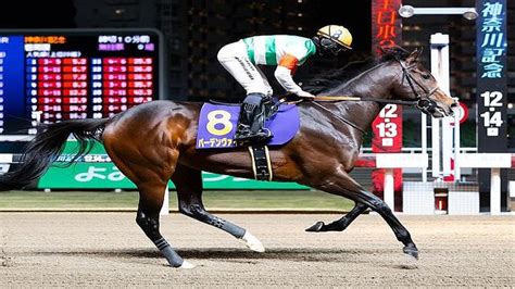 【先週のjra抹消馬】ダート重賞2勝のバーデンヴァイラー、牝馬路線で活躍したマリアエレーナなど 2024年2月5日掲載 ライブドアニュース