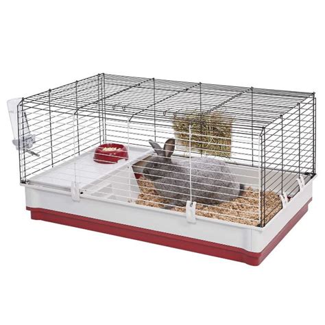 The 6 Best Indoor Rabbit Cages